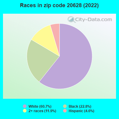Races in zip code 20628 (2022)