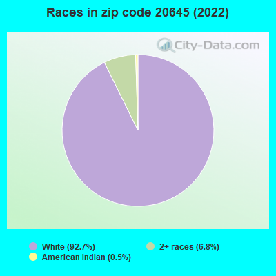 Races in zip code 20645 (2019)