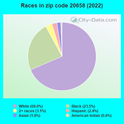 Races in zip code 20658 (2022)