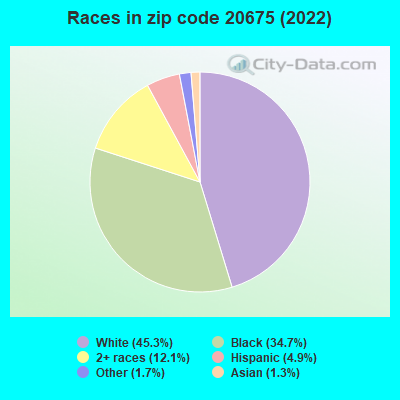 Races in zip code 20675 (2022)