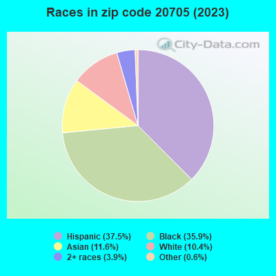 Races in zip code 20705 (2019)
