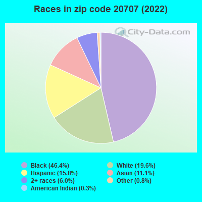 Races in zip code 20707 (2019)