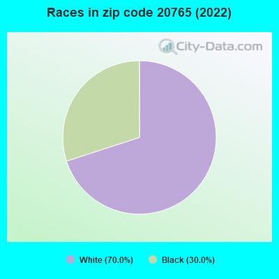 Races in zip code 20765 (2019)