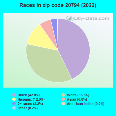 Races in zip code 20794 (2019)