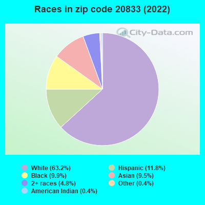 Races in zip code 20833 (2019)