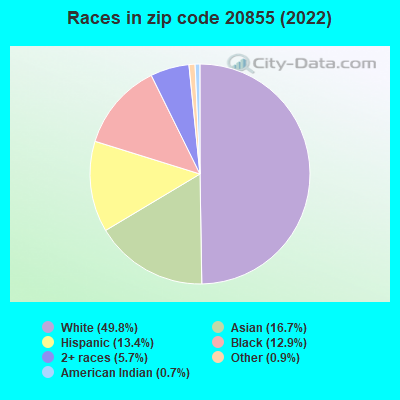 Races in zip code 20855 (2022)