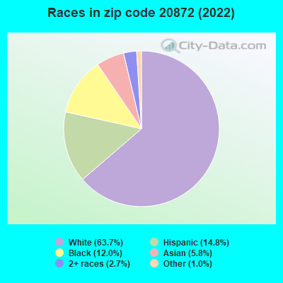 Races in zip code 20872 (2019)