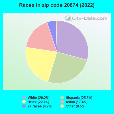 Races in zip code 20874 (2019)