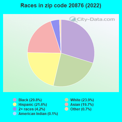 Races in zip code 20876 (2019)