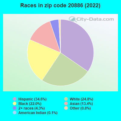 Races in zip code 20886 (2022)
