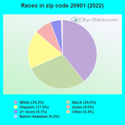 Races in zip code 20901 (2019)