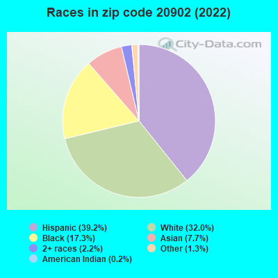Races in zip code 20902 (2019)