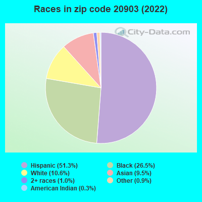 Races in zip code 20903 (2019)