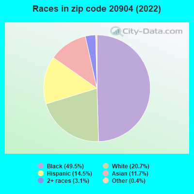 Races in zip code 20904 (2019)