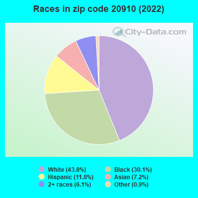 Races in zip code 20910 (2019)