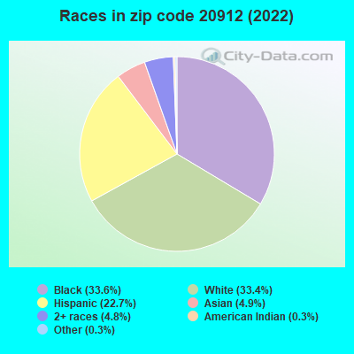 Races in zip code 20912 (2019)