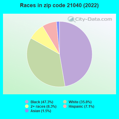 Races in zip code 21040 (2019)