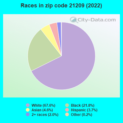 Races in zip code 21209 (2019)