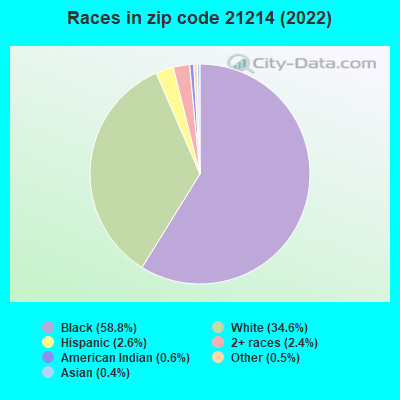 Races in zip code 21214 (2021)