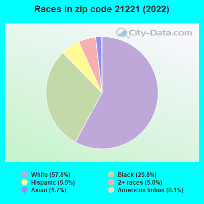 Races in zip code 21221 (2022)