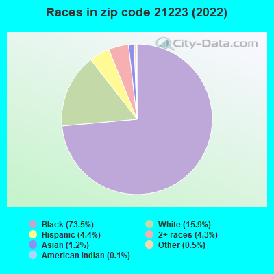 Races in zip code 21223 (2019)