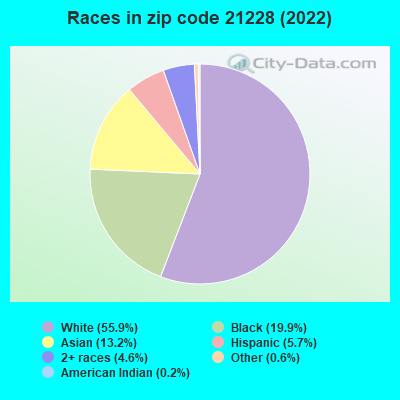 Races in zip code 21228 (2019)