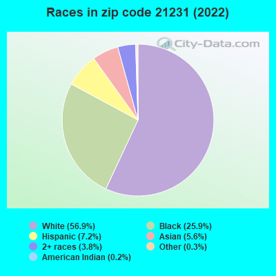 Races in zip code 21231 (2019)