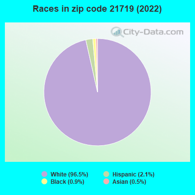 Races in zip code 21719 (2022)