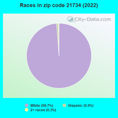 Races in zip code 21734 (2019)