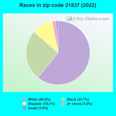 Races in zip code 21837 (2019)