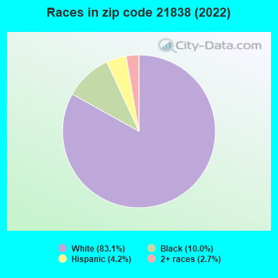 Races in zip code 21838 (2019)