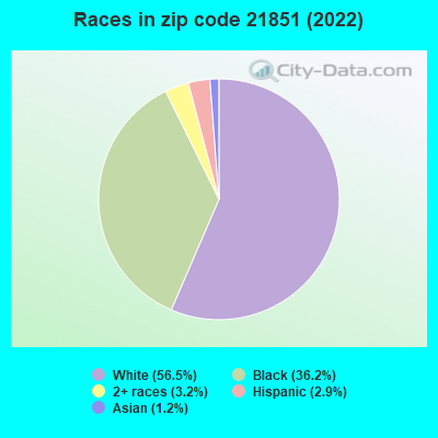 Races in zip code 21851 (2019)