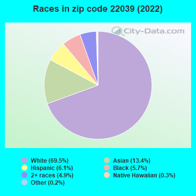Races in zip code 22039 (2021)