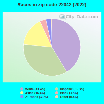 Races in zip code 22042 (2021)