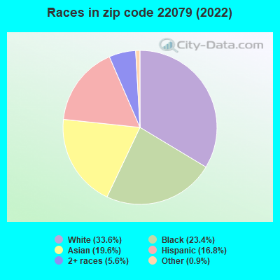 Races in zip code 22079 (2019)