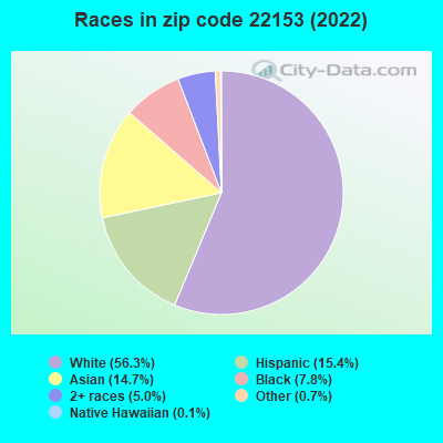 Races in zip code 22153 (2019)