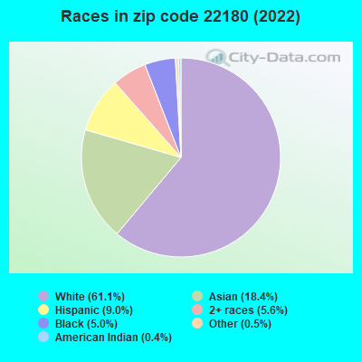 Races in zip code 22180 (2022)
