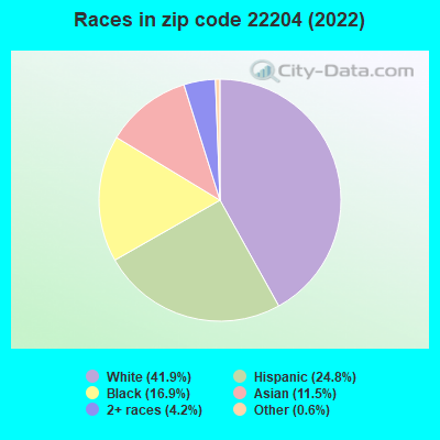 Races in zip code 22204 (2019)