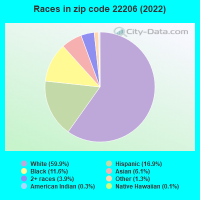 Races in zip code 22206 (2019)