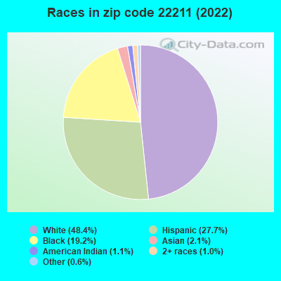 Races in zip code 22211 (2022)