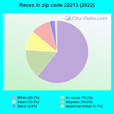 Races in zip code 22213 (2022)