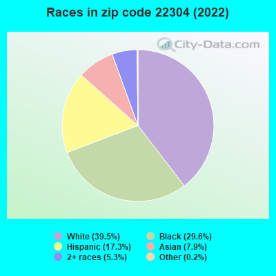 Races in zip code 22304 (2019)