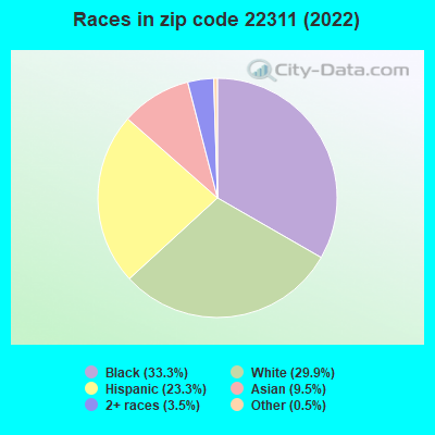 Races in zip code 22311 (2022)