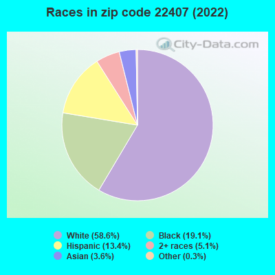 Races in zip code 22407 (2019)