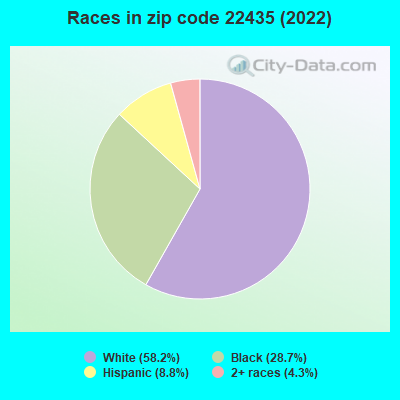 Races in zip code 22435 (2019)