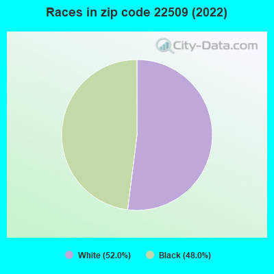 Races in zip code 22509 (2022)