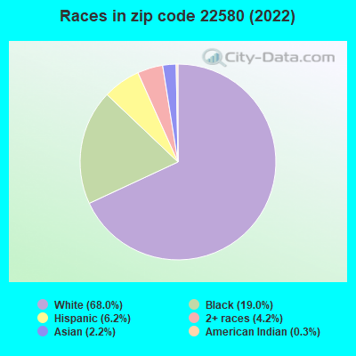 Races in zip code 22580 (2019)