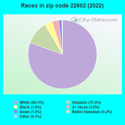 Races in zip code 22602 (2021)