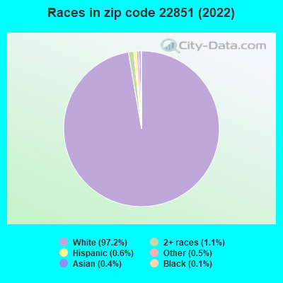 Races in zip code 22851 (2022)