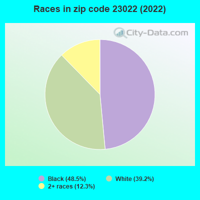 Races in zip code 23022 (2019)